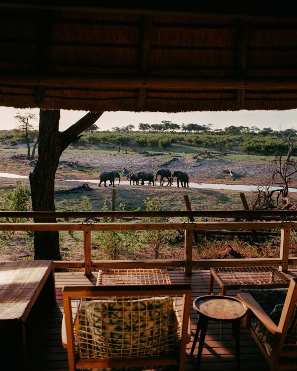 14 Luxury African Safari Lodges & Resorts for an Unforgettable Honeymoon
