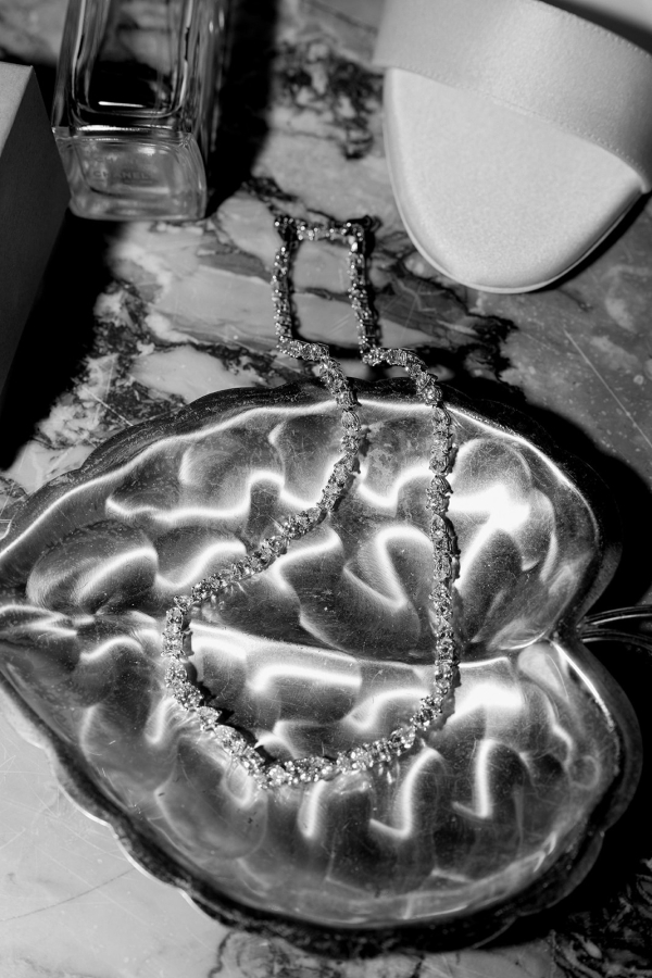 Photographers Lynn Shapiro