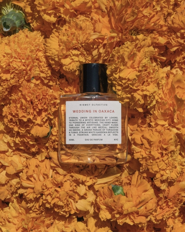 Inside Alix Traeger & Zoya Biglary’s Vibrant Wedding in Oaxaca, Mexico