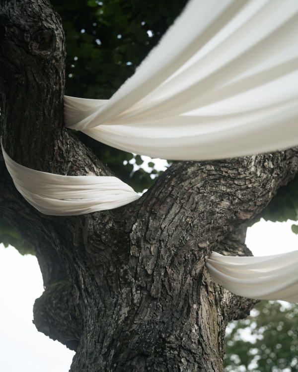 Editor’s Picks: The 20 Most Beautiful Weddings That Defined 2025