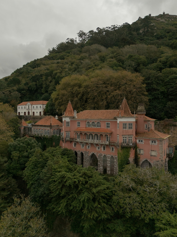 Photographers Alice Vicente