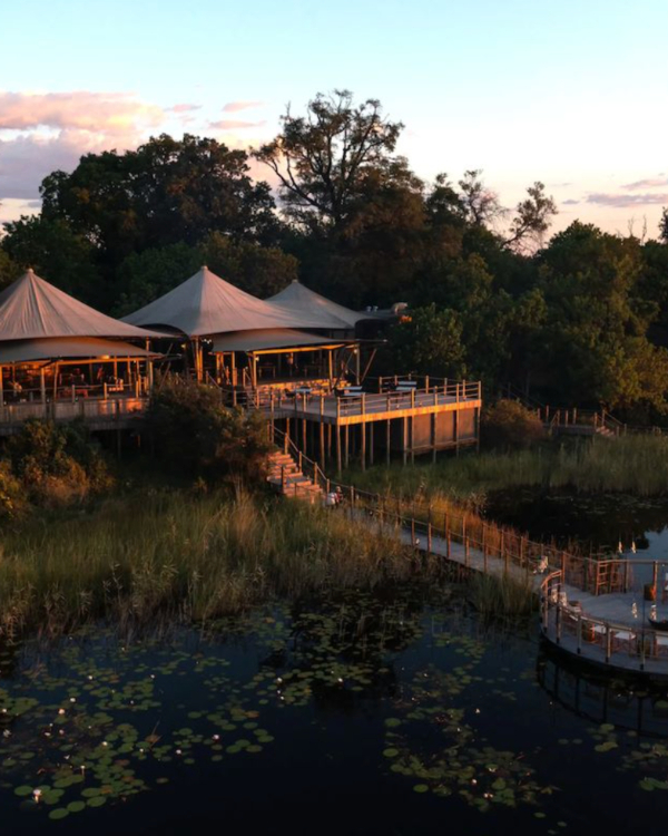 14 Luxury African Safari Lodges & Resorts for an Unforgettable Honeymoon