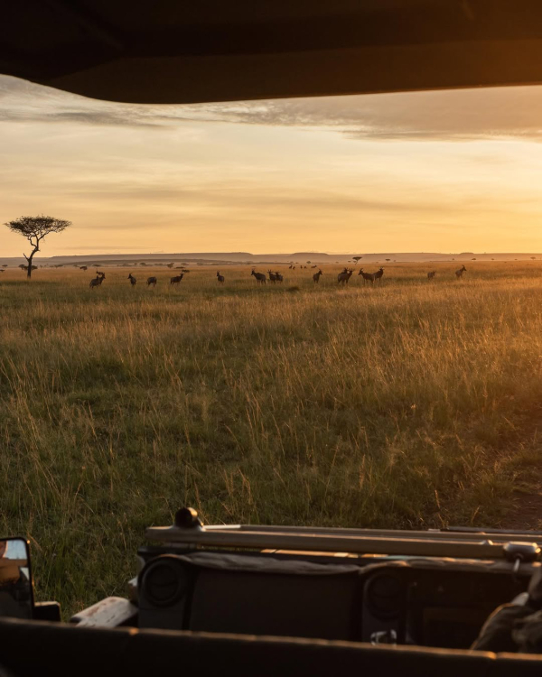 14 Luxury African Safari Lodges & Resorts for an Unforgettable Honeymoon