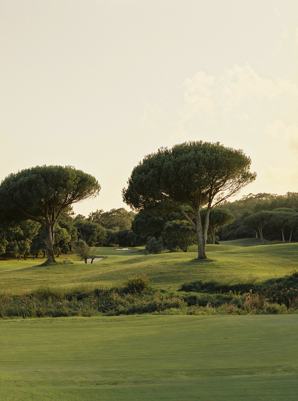 Photographers Alice Vicente