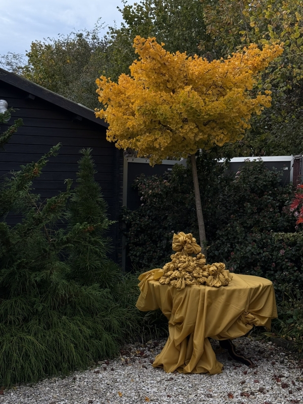 Stylists Edénique Floral Design