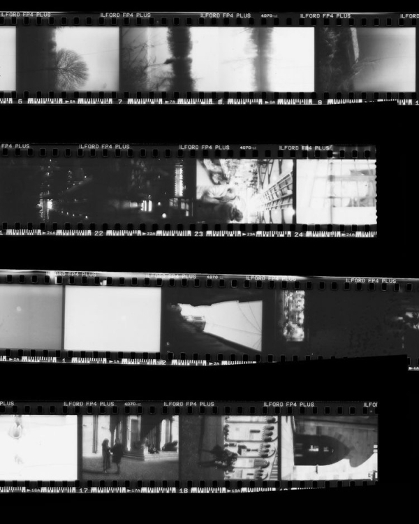 15 Best Wedding Videographers in the US | TOP Luxury Wedding Filmmakers | Famous Wedding Cinematographers