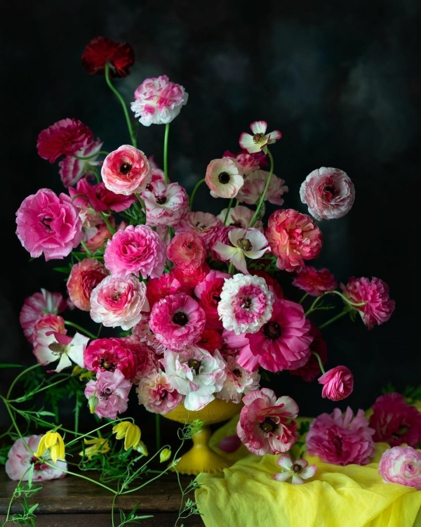 15 Best Wedding Stylists & Florists in