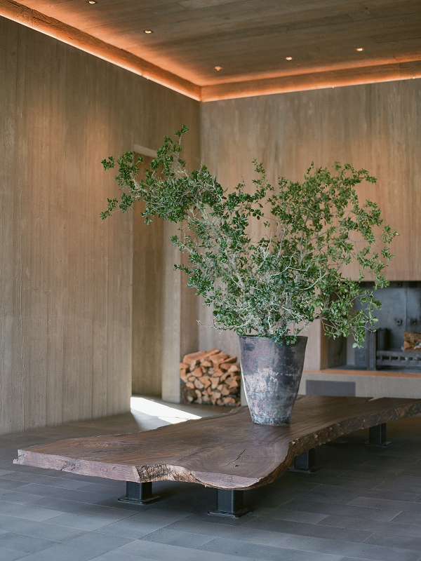 Photographers Radostina Boseva