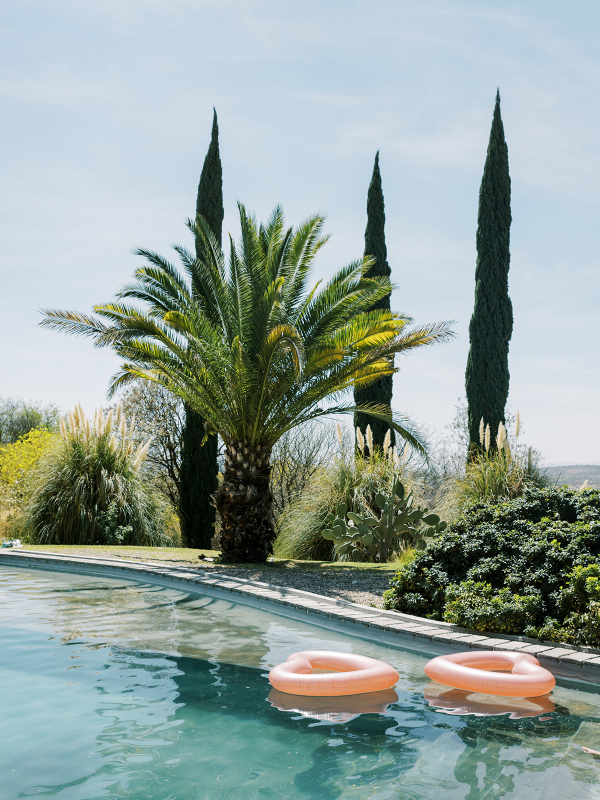 Picture-Perfect San Miguel de Allende Wedding