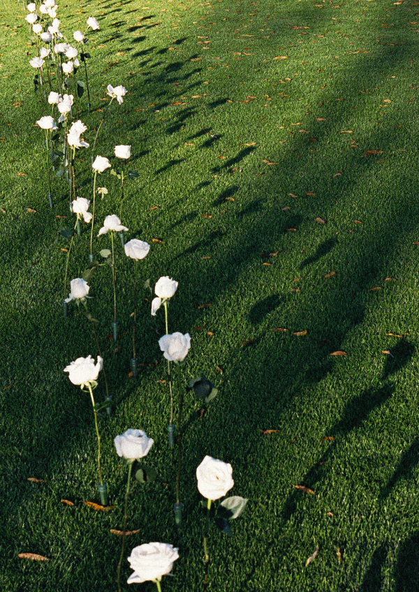 Photographers Tom Irwin