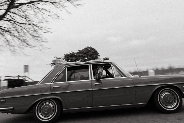 Photographers Kindred