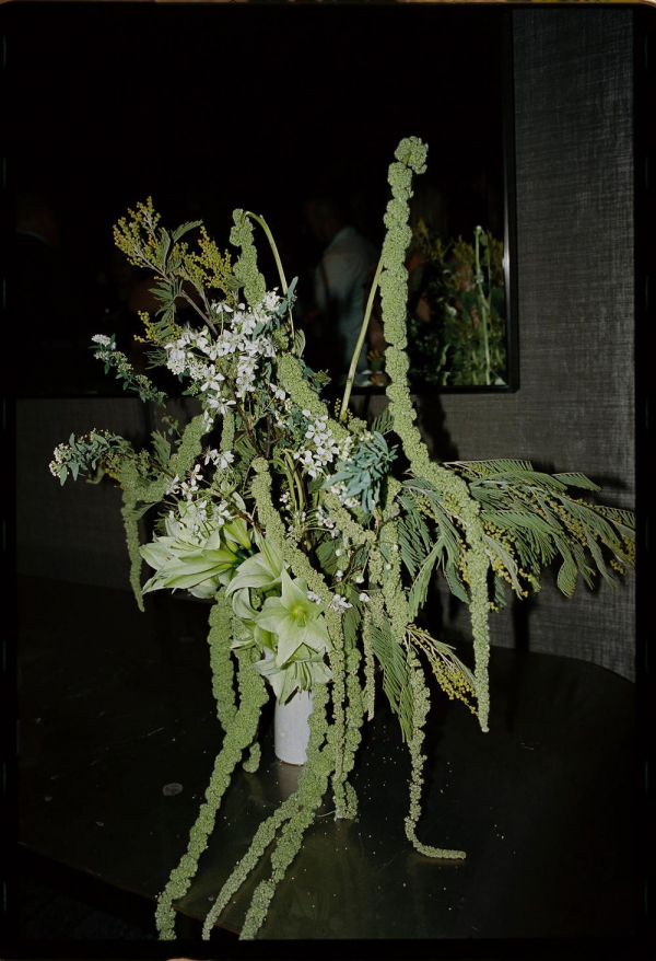 Photographers Kindred