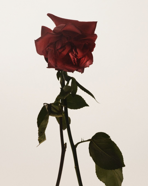 Best Men's Wedding Attire for Spring | Spring Groom Suits