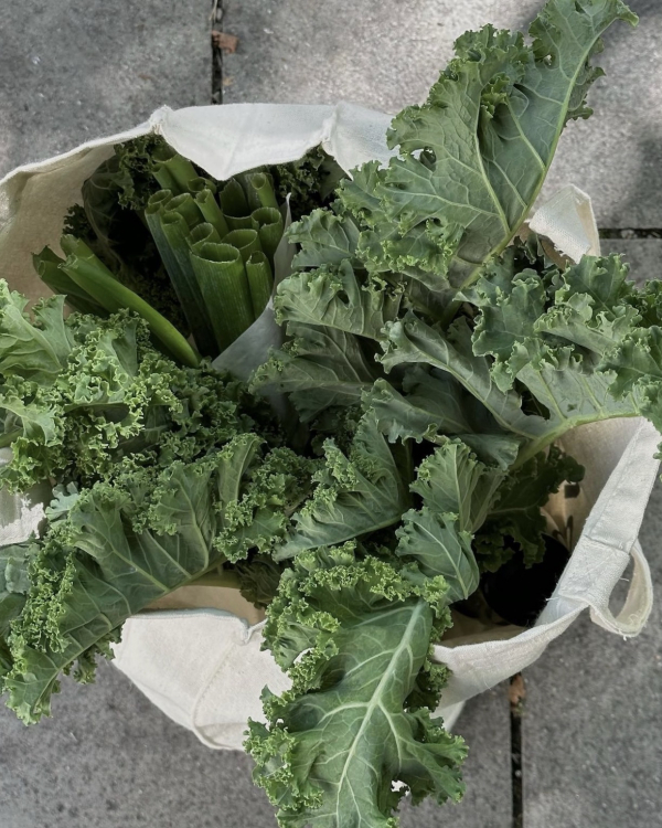 How to Take Care of Your Scalp | Hair & Scalp Health Best Tips