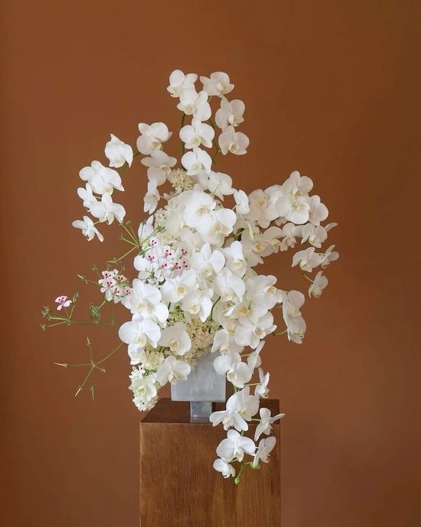 10 Flower Varieties Trending for 2025 Weddings