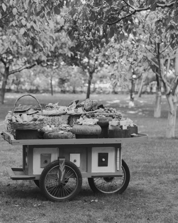 A Lush Fusion of Nature and Elegance in the Heart of the Lebanese Countryside