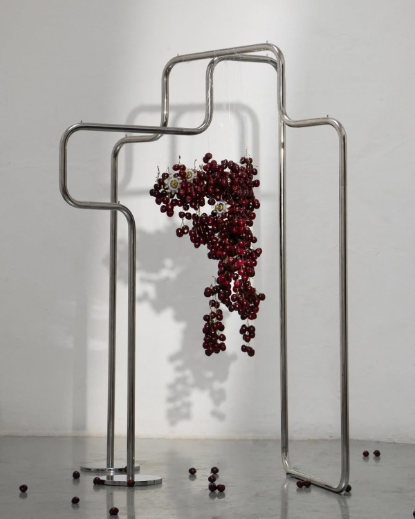 40 Creative Wedding Arch & Backdrop Ideas for an Unforgettable Ceremony