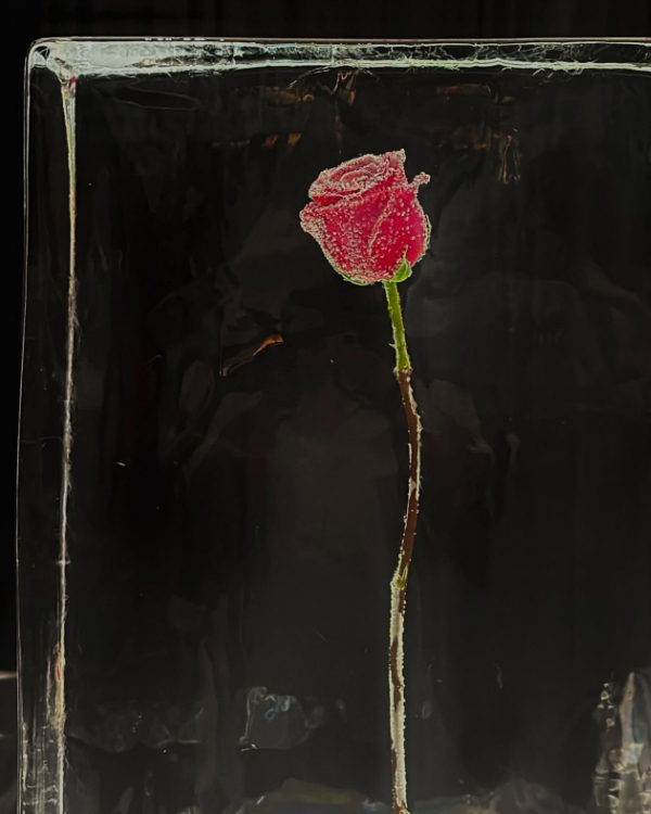 35 Ways to Style Freestanding Floral Stems