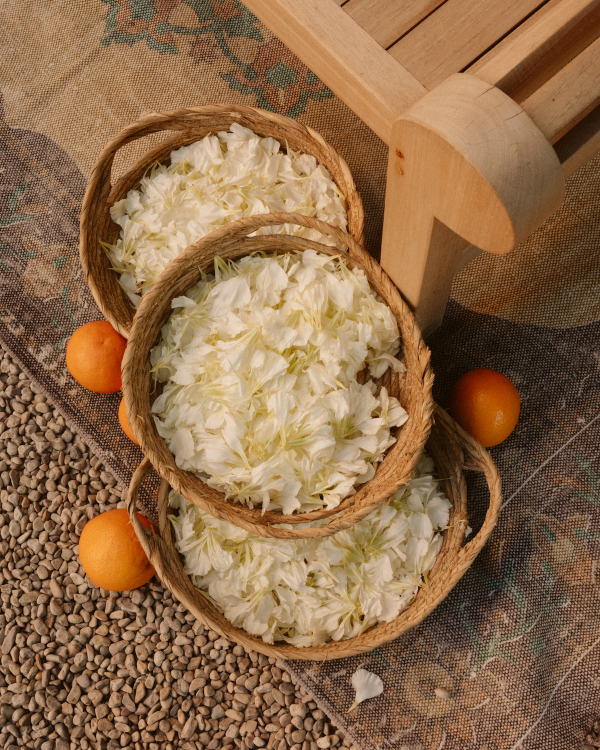 An Enchanting Indian Wedding Amongst a Coastal Vineyard Villa in Spain