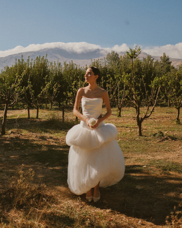 A Lush Fusion of Nature and Elegance in the Heart of the Lebanese Countryside