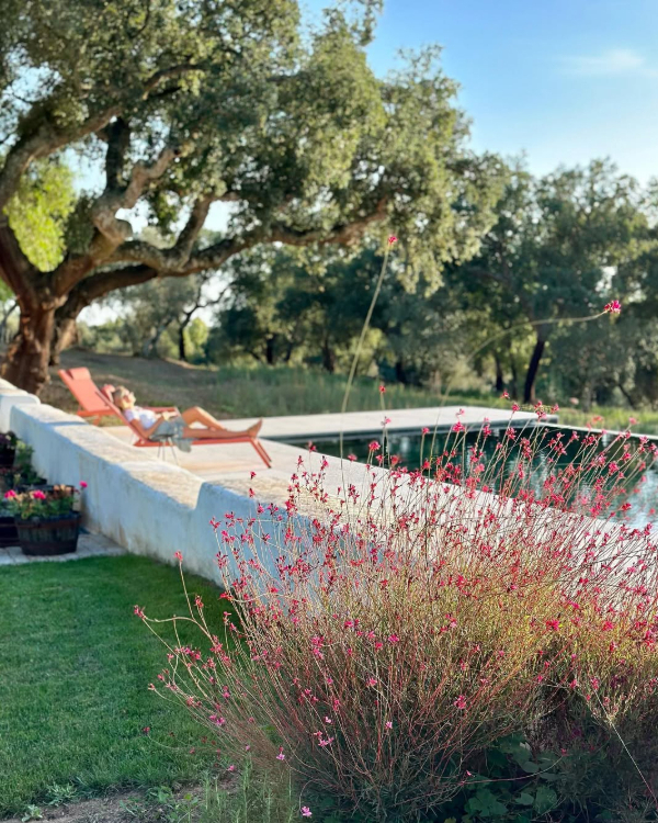 11 Picture-Perfect Wedding Venues in Portugal