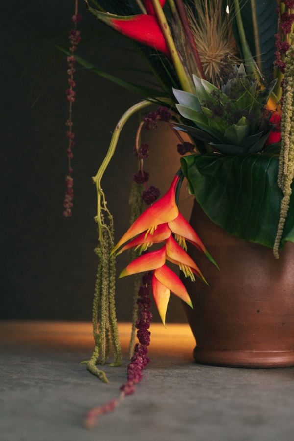 Florists Bloomer Studios