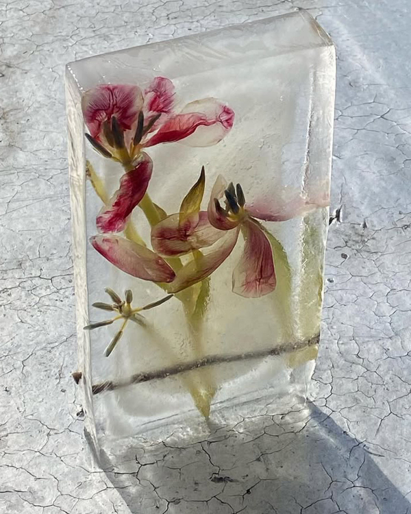 Trend: Frozen Florals