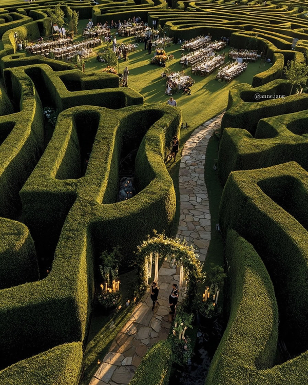 Should Wedding Vendors Disclose Their Use of AI to Couples?