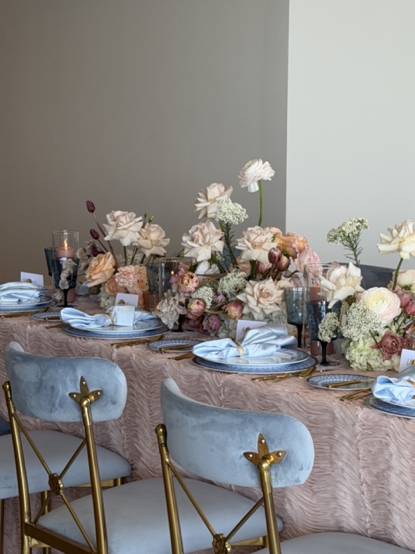 Content Creators Case Creative Co