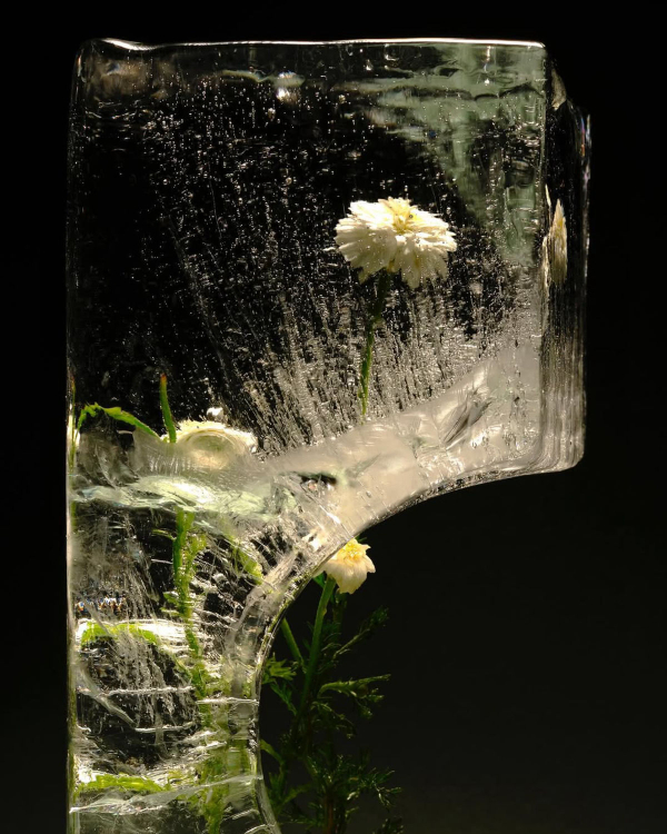 Trend: Frozen Florals