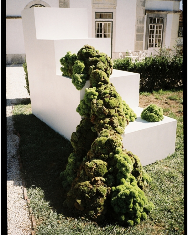 An Avant-Garde Celebration with Performance Art in Lisbon