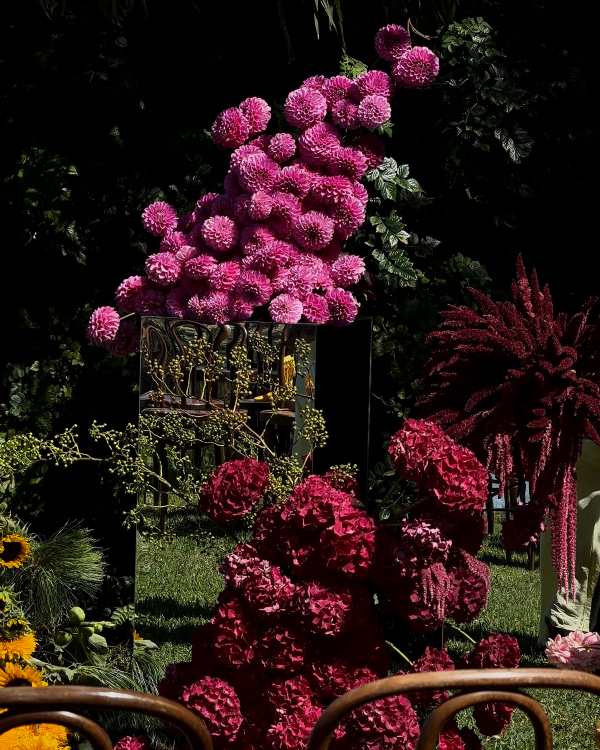 Behind the Scenes with Wedding Content Creators Wed Social