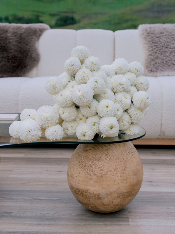 Planners The Lynden Lane Co