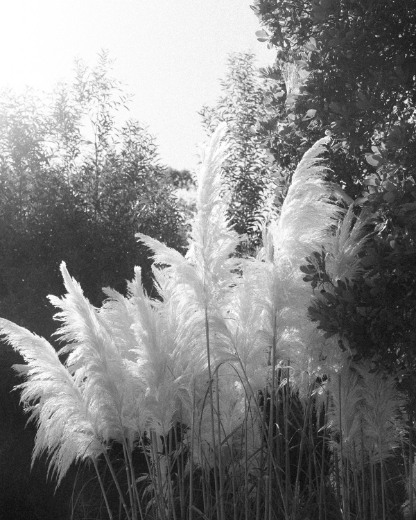 A Modern Mediterranean Wedding Weekend Amongst Catalan Vineyards