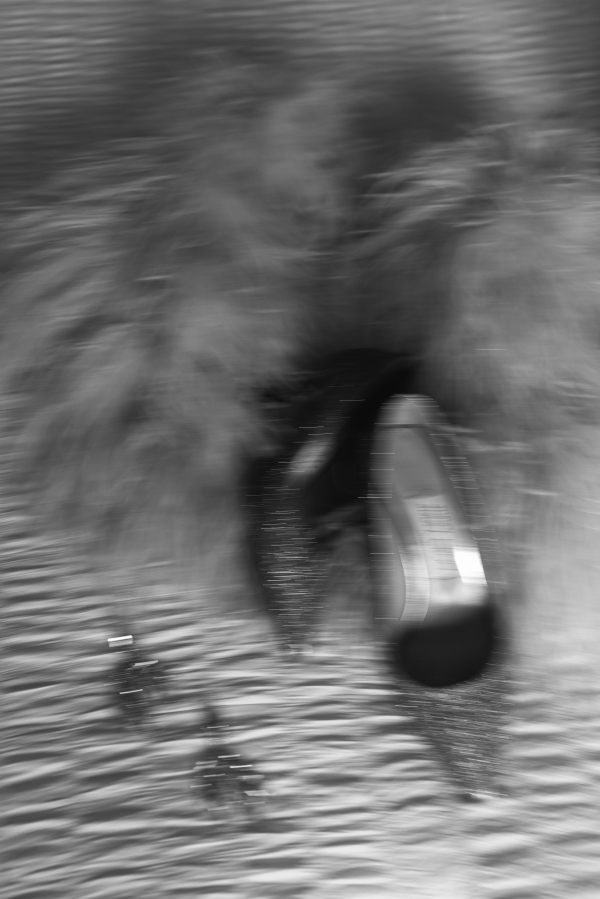 Photographers Liza Litvinovich