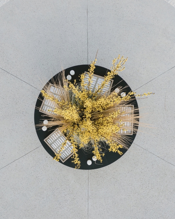 15 Best Wedding Planners in USA | Wedding Planning Companies in US | TOP Luxury Bridal Agencies