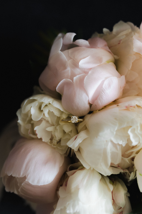 Videographers The New Old