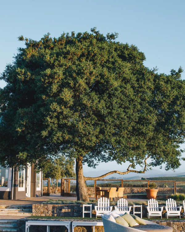 Wedding Venues in California | Beautiful Places to Get Married | Luxury Wedding Locations