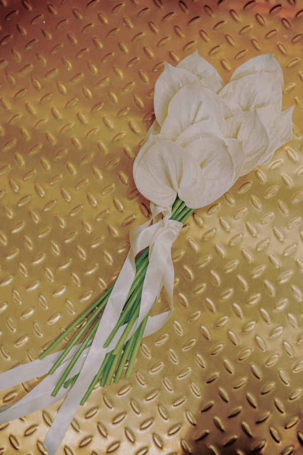 Pre-Wedding Photoshoot Inspiration | Golden Goose Melbourne Photo Location