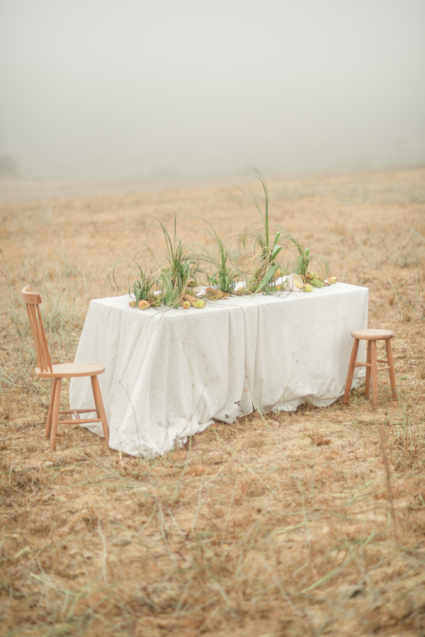 Florists Bosque Concept