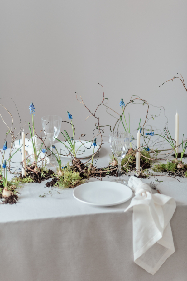 Florists Bosque Concept