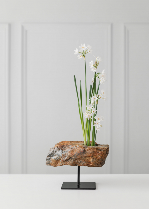 Florists Bosque Concept