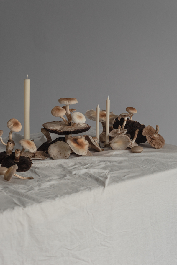 Florists Bosque Concept