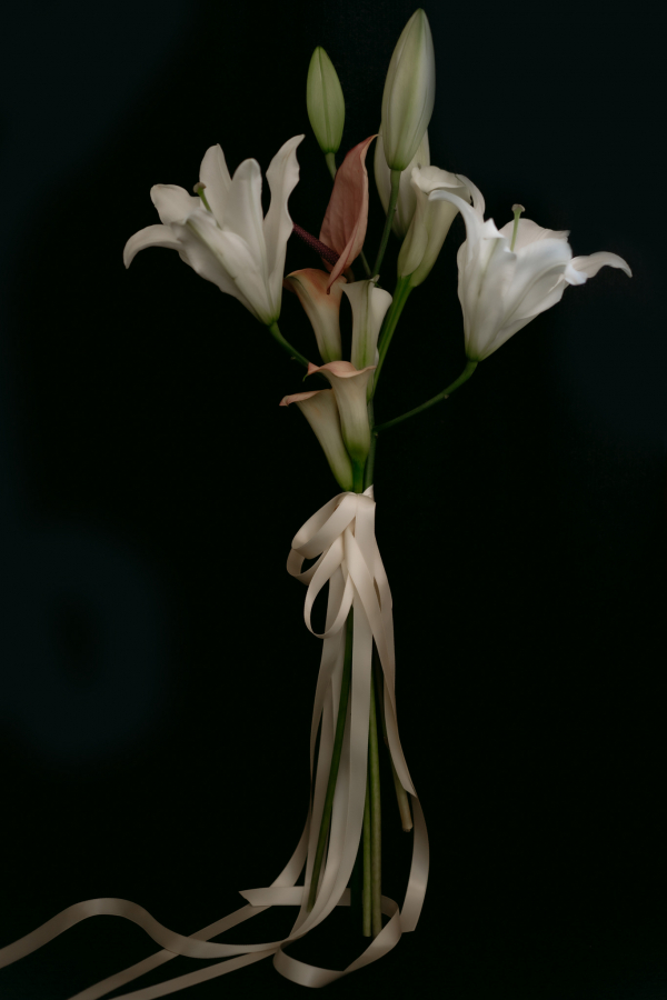 Photographers Emotions and Math