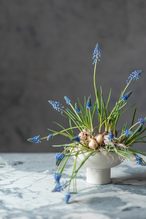 Florists Bosque Concept