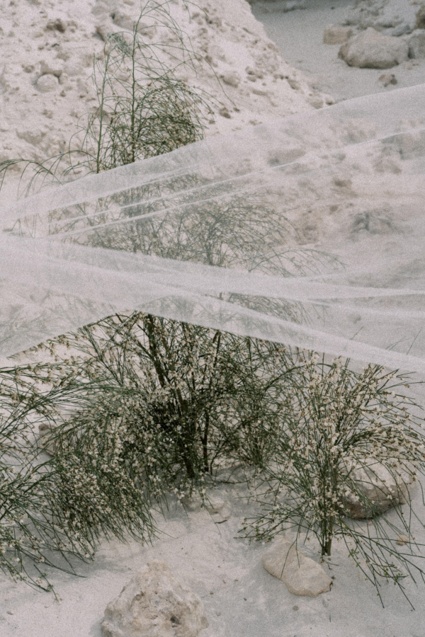 Florists Bosque Concept