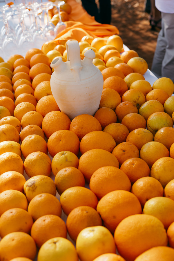 Planners Open the Door Events