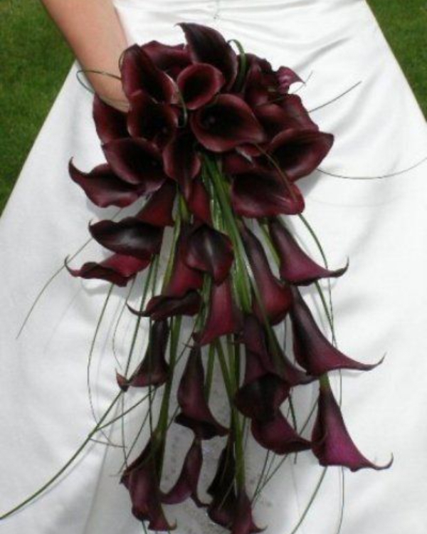 10 Flower Varieties Trending for 2025 Weddings