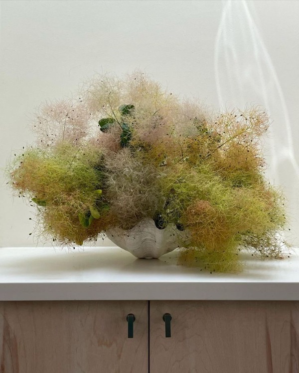 10 Flower Varieties Trending for 2025 Weddings