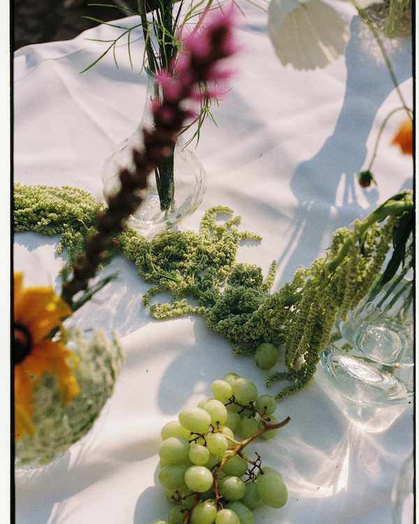 An Intimate Wedding in the Portuguese Countryside